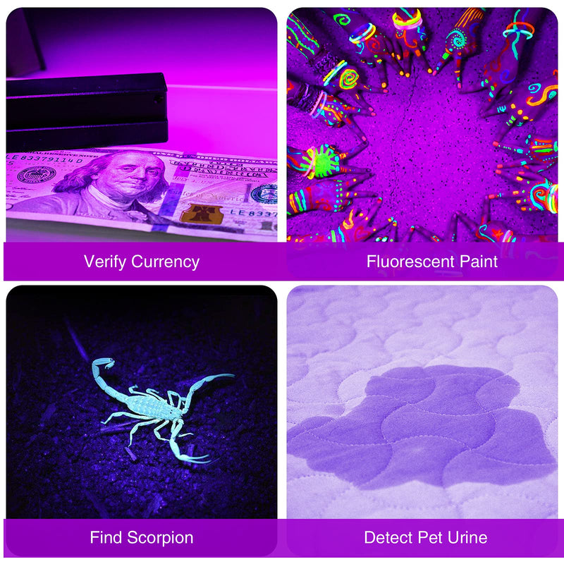 COSOOS 2 Pack UV Black light Flashlight, 51 LED 395nm Handheld Blacklight Flashlights, Pet Urine Detector for Dog and Cat Urine, Dry Pet Stains, Bed Bug(Batteries not Included) - BeesActive Australia