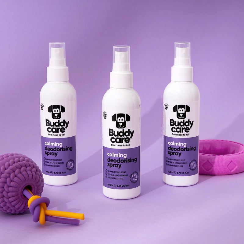Buddycare Dog Deodorizer Spray - Lavender - Soothing Deodorizer Spray for Dogs - with Aloe Vera and Pro-Vitamin B5 (200ml, 1 Count) - BeesActive Australia