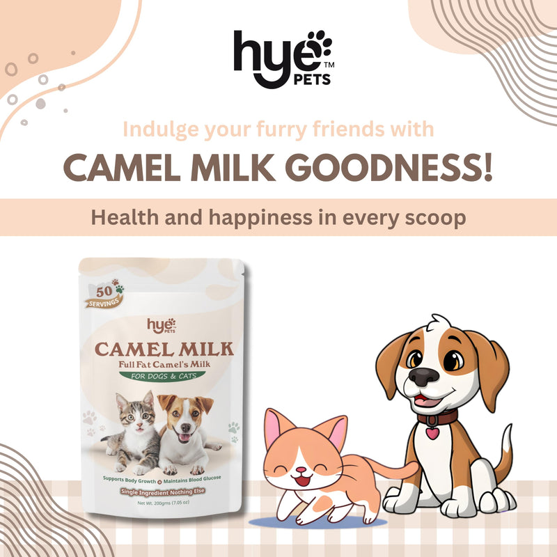 HYE Pets Full Fat Camel Milk Powder for Dogs & Cats, Support Body Growth and Maintain Blood Glucose, 7.05 Oz