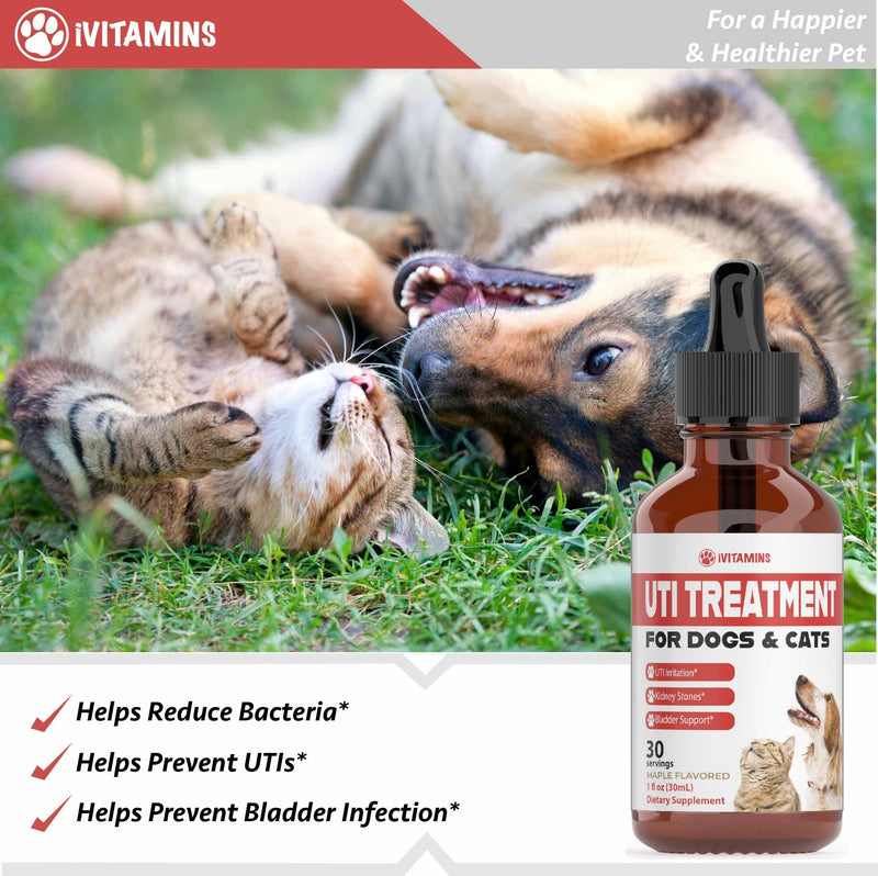 Dog UTI Treatment | Cat UTI Medicine | Cat UTI Remedy | Cranberry Supplement for Dogs | Pumpkin for Cats | Dog UTI | Cat UTI | Cranberry for Dogs | Cat Urinary Tract Infection Treatment | 1 fl oz - PawsPlanet Australia