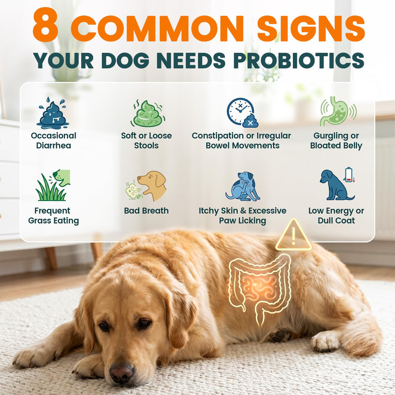 Probiotics for Dogs, Dog Probiotics for Yeast, Itchy Skin and Itchy Ears, Allergies, Immunity, Dog Gut Health Probiotic for Digestive Enzymes & Prebiotics for Diarrhea & Gas Relief (Chicken, 200 Chew)