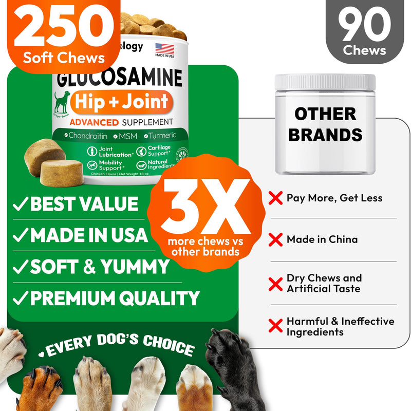 Glucosamine for Dogs - 250 Chews with Chondroitin - Hip and Joint Supplement with MSM - Turmeric - Omega 3 - Joint Pain Relief - Advanced Support for Dog Health - For Large, Medium & Small Breeds 250 Treats