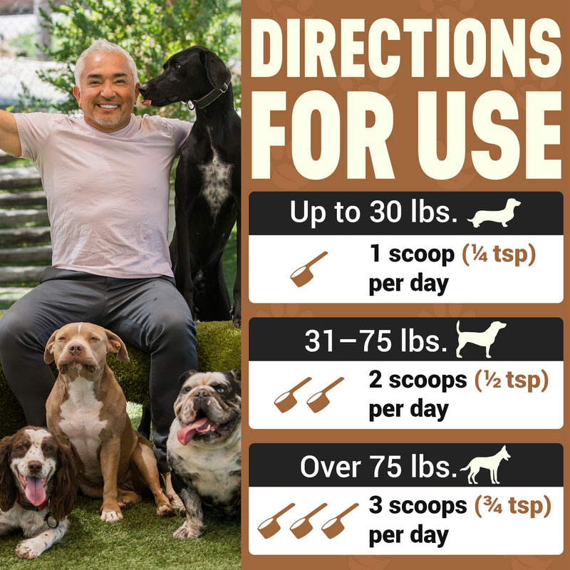 Better Dog Supplements by Cesar Millan® Inner Purity – Natural Digestive, Dewormer & Gut Health Powder for Dogs – Internal Cleanliness, Detox & Bowel Movement Support – 3.4oz, (60-Day Supply)