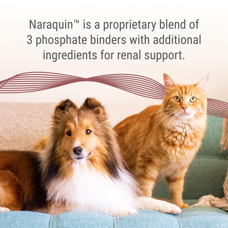 Nutramax Laboratories NARAQUIN™ Dietary Phosphate Binder + Renal Support Supplement for Cats & Dogs,60 Count (Pack of 2) 60 Count (Pack of 2)