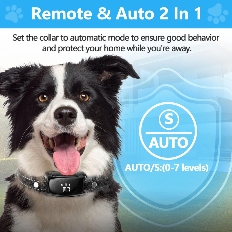 No Shock Dog Bark Collar, Dog Training Collar with Remote, Bark Collar with 7 Adjustable Sensitivity Beep Vibration, IPX7 Waterproof Bark Collar for Large Dog, Medium & Small Dog Indoor & Outdoor Use Black - BeesActive Australia