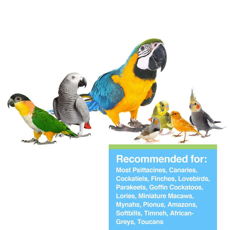 Hari Prime Parrot Vitamin, Mineral and Amino Acid Supplement for Seed Eating Birds, 11.3oz Prime Vitamin Supplement 11.3 oz