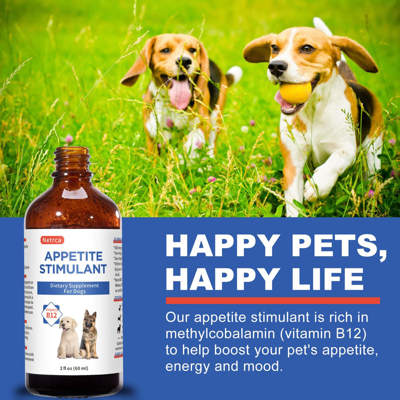 Appetite Stimulant for Dogs - Vitamin B12 Liquid (Methylcobalamin) - Boosts Appetite, Energy, and Blood - 60 ml