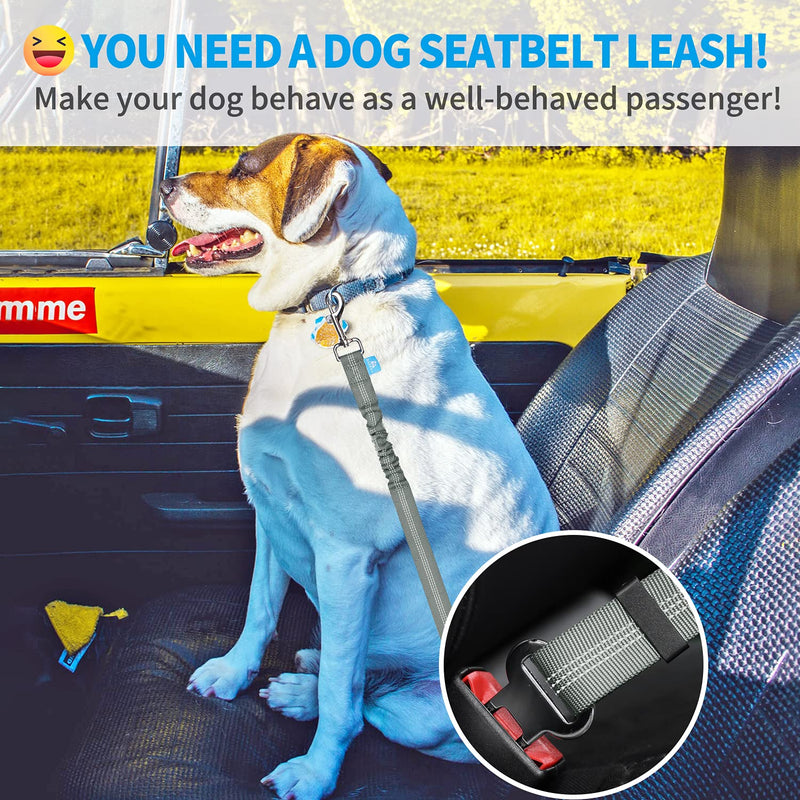 BAAPET Dog Seatbelt Leash for Cars, 2-Packs Pet Safety Seat Belt Harness with Shock Absorbing Bungee and Reflective Threads for Car Dogs Restraint (Black+Grey, Standard+Standard) Black+Grey (Standard+Standard) - BeesActive Australia