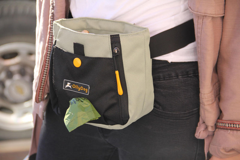 OllyDog Backcountry Day Bag, Fanny Pack, Dog Treat Pouch, Hands-Free for Training, Hip Pack with Built-in Poop Bag Dispenser, Removable Waist Belt Clip (Bluff) Bluff - BeesActive Australia