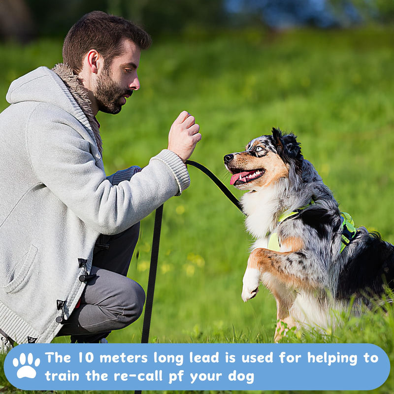 Towing leash 10m for dogs, long dog leash for training and outdoors, training leash for small to large dogs, robust nylon dog leash with hand strap and D-carabiner (black) black - BeesActive Australia