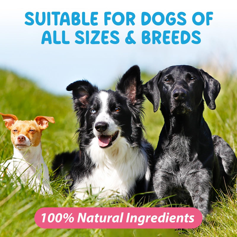 Urinary Tract Infection Support for Dogs – Natural Herbal UTI Care Drops with Cranberry Extract, Kidney & Bladder Supplement Drops