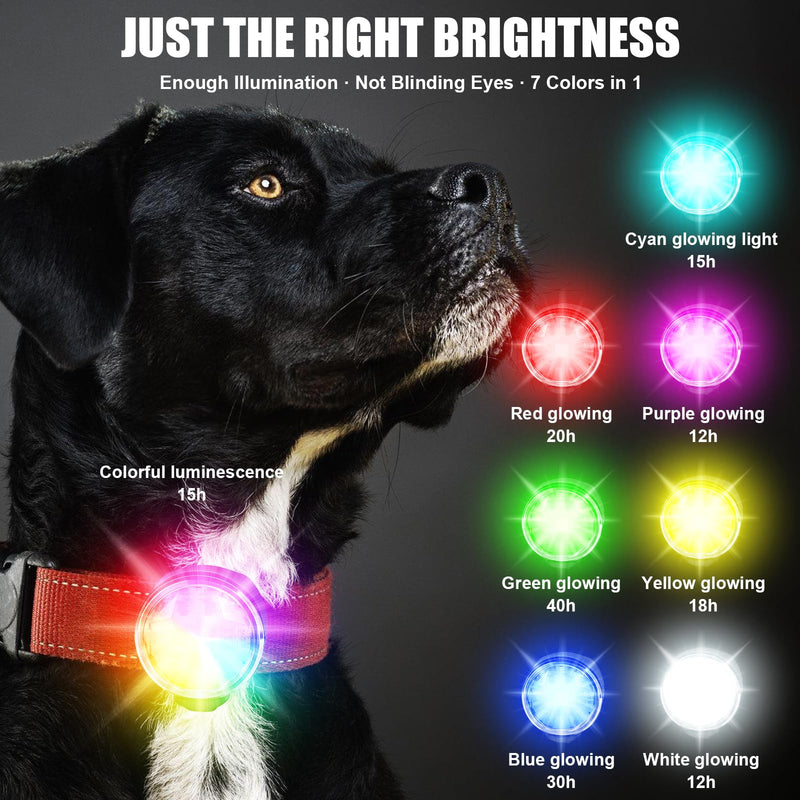 Rechargeable Pet Tag Light, USB Rechargeable LED Night Light Collar Jewelry, Light Pendant Dog Rechargeable, Waterproof Pet Lights Ideal for Nighttime Dog Walks Camping (RGB) RGB - BeesActive Australia