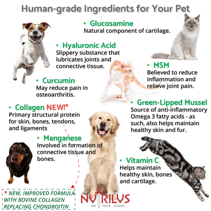 Pet Hip & Joint Powder 150g for Dogs and Cats – With Glucosamine, Collagen, Green Lipped Mussel, MSM, Curcumin, Hyaluronic Acid & more.