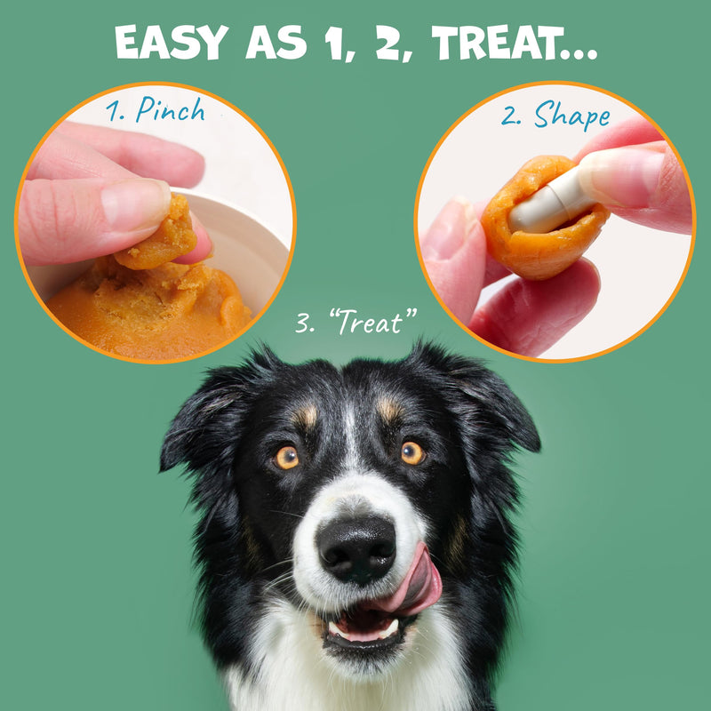 Pack Approved Flavor-Doh with Dog Probiotics - Flavored Pill Wrap for Dogs to Hide Capsules and Shape into Pill Pocket Treats for Dogs - Easy-to-Use Treat Paste for Pet Medicine - Savory Bacon (4.2oz)
