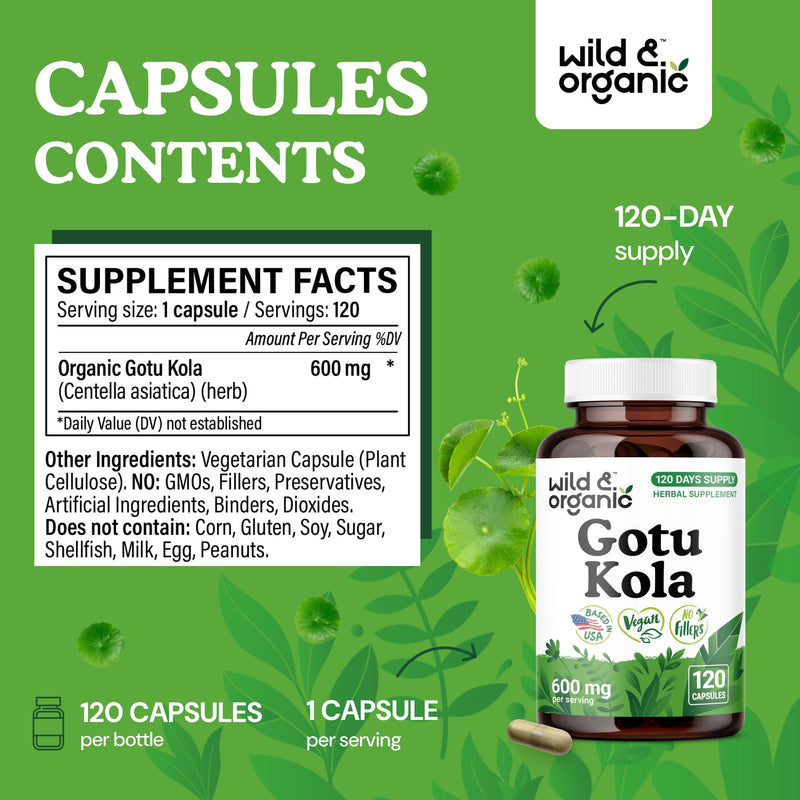 Wild & Organic Gotu Kola Capsules 600 mg - Brain & Focus Support - Gotu Kola Supplement - Centella Asiatica Powder - 120 Days of Supply - Vegan, No Fillers, Non-GMO - 120 Count - BeesActive Australia