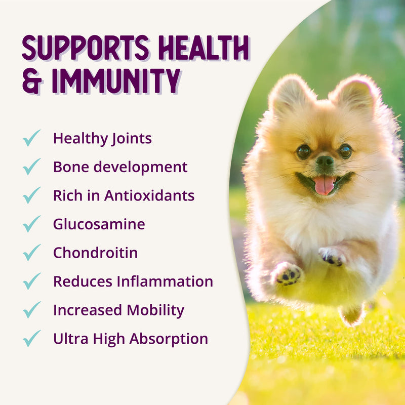 Health Extension Chondroitin with Glucosamine for Dogs, 8oz - Arthritis Pain Relief, Joint & Hip Supplement, Cheese Flavored Powder 8 Oz