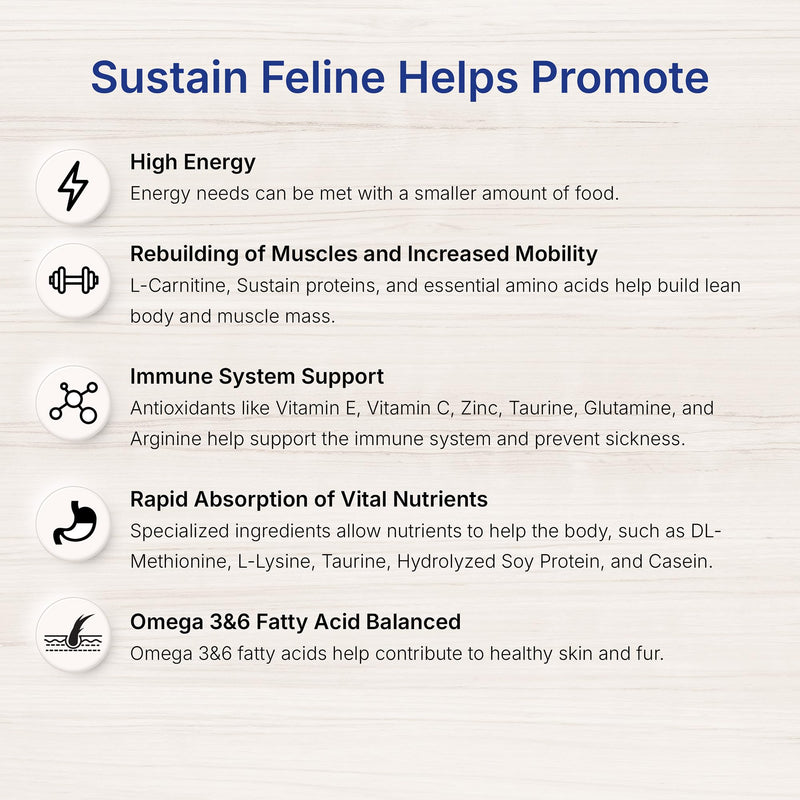 Sustain Feline Recovery Food for Cats 100 g 3.53 Ounce (Pack of 1) - BeesActive Australia