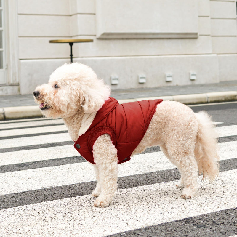 Fleece Lining Extra Warm Dog Hoodie in Winter for Small Dogs Jacket Puppy Coats with Hooded,Red M Medium (Pack of 1) Red - BeesActive Australia