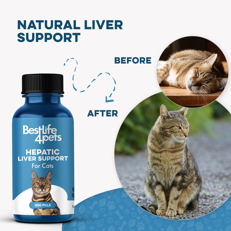 Hepatic Liver Support for Cats Dissolvable,Homeopathic, Digestive Feline Supplement for Liver Detox and Nutrient Absorption 100% All Natural, Easy to Give, Free of Chemicals or Additives, 400 Pills - BeesActive Australia