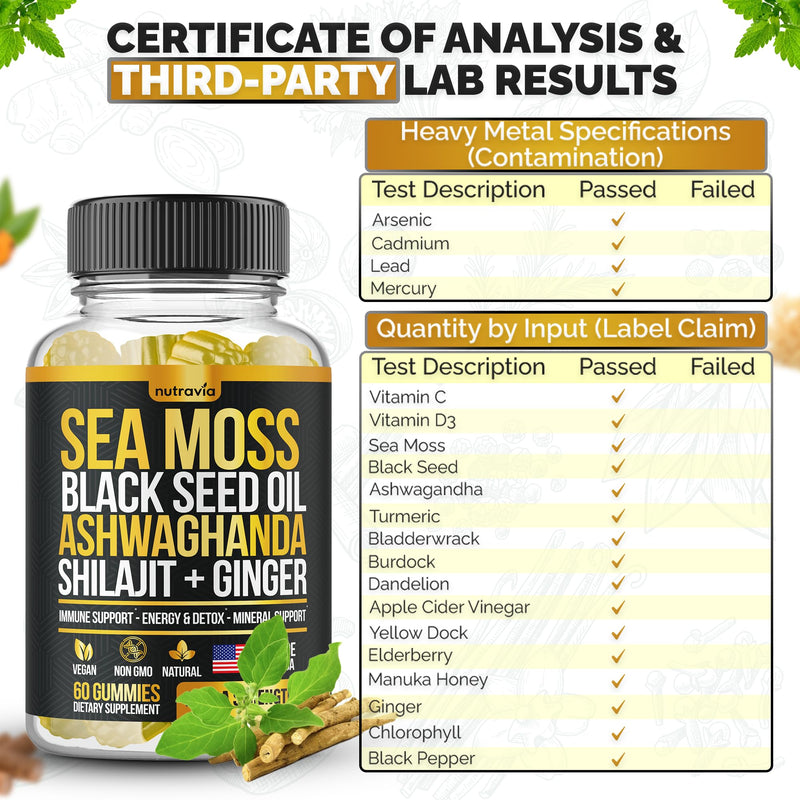 Sea Moss, Black Seed Oil, Ashwagandha, Ginger, Shilajit Gummies with Elderberry, Chlorophyll, Turmeric Bladderwrack Sea Moss Gummies Advanced Strength Formula - All in 1 Bundle - USA Made (60 Gummies)