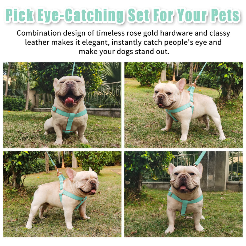 Soft Leather No Pull Dog Harness - Adjustable Step in Dog Harness with Rose Gold Heavy Duty Metal Buckle, Freedom Nylon Dog Halter Vests for Small Medium Large Dogs Easy Walking Training (Green,L) Mint Green L (Neck&Chest Girth 24"-38" x Width 1") - BeesActive Australia
