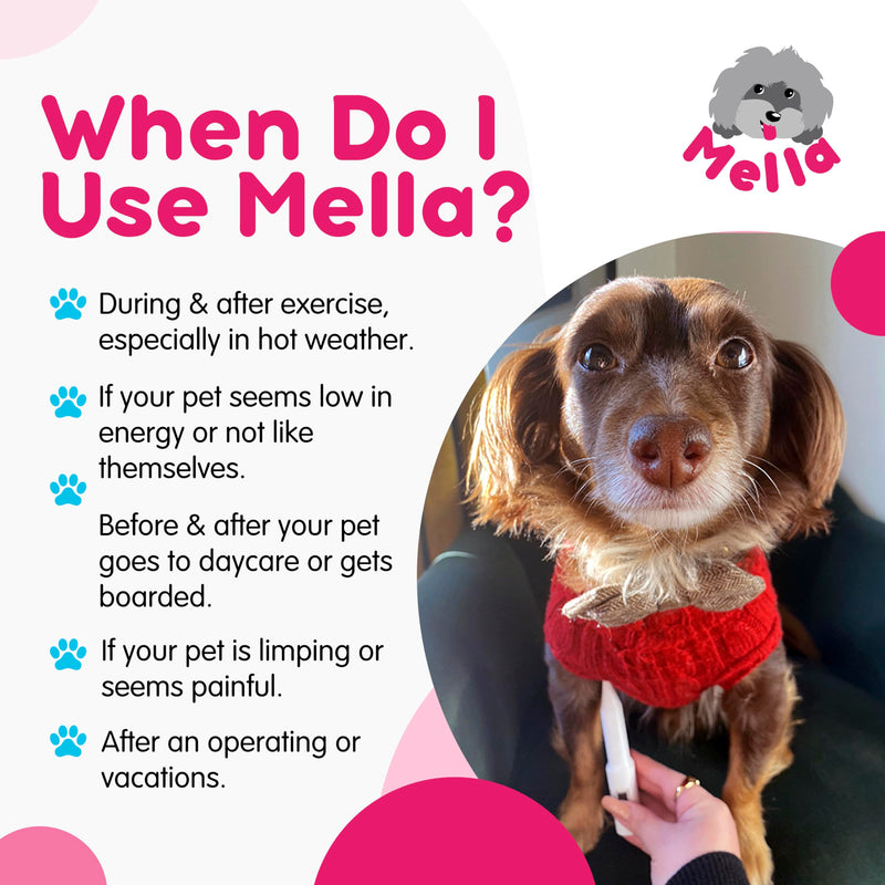 Mella Pet Thermometer - Non-Invasive - Underarm Fever Detection for Dog & Cat - Puppy Essentials and Pet Supplies - BeesActive Australia