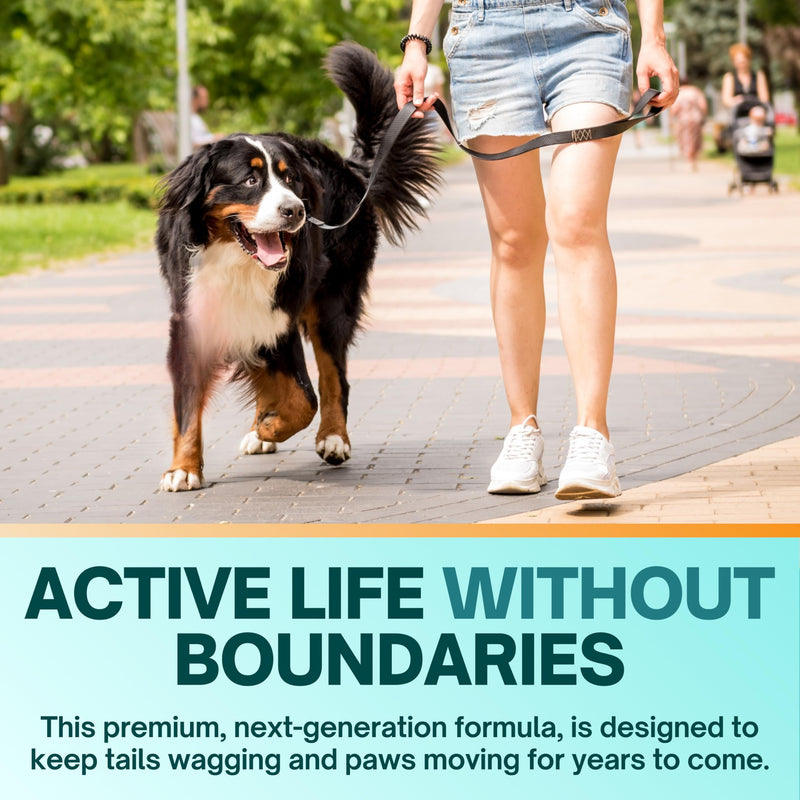 CM Joint Care for Dogs | Advanced Hip & Joint Support Supplement with Cetyl Myristoleate (Omega 5), Glucosamine & Hyaluronic Acid | Mobility & Comfort Support | 120 Tasty Chewable Tablets