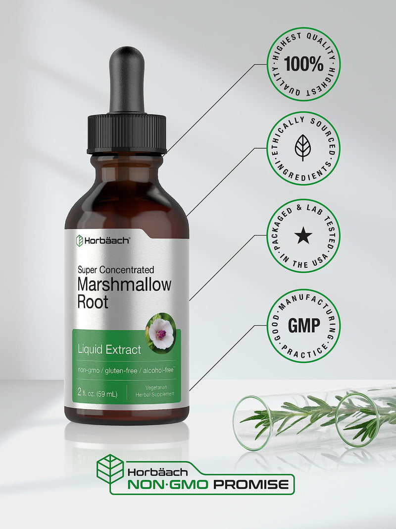 Horb√§ach Marshmallow Root Extract Tincture | 2 fl oz | Althaea Officinalis Liquid | Alcohol Free | Vegetarian, Non-GMO & Gluten Free