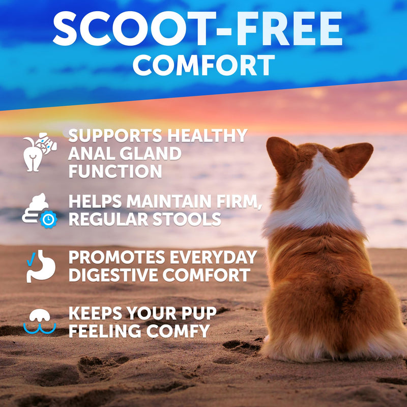 Bye Scoot - Anal Gland Support Chews for Dogs - Fiber Blend with Pumpkin, Psyllium, Slippery Elm, Digestive Enzyme - Scoot Treatment - Supplement for Gut, Anal Gland Health, Stool Quality - 120 Treats 120 Count