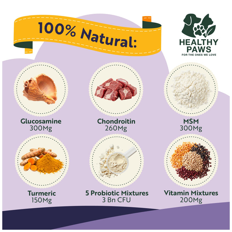 Healthy Paws 8-in-1 Dog Multivitamin Treats – Daily Supplement for Brain, Heart, Joints, Skin, Coat, Immunity, Digestion & Energy – Suitable for Small, Medium & Large Dogs