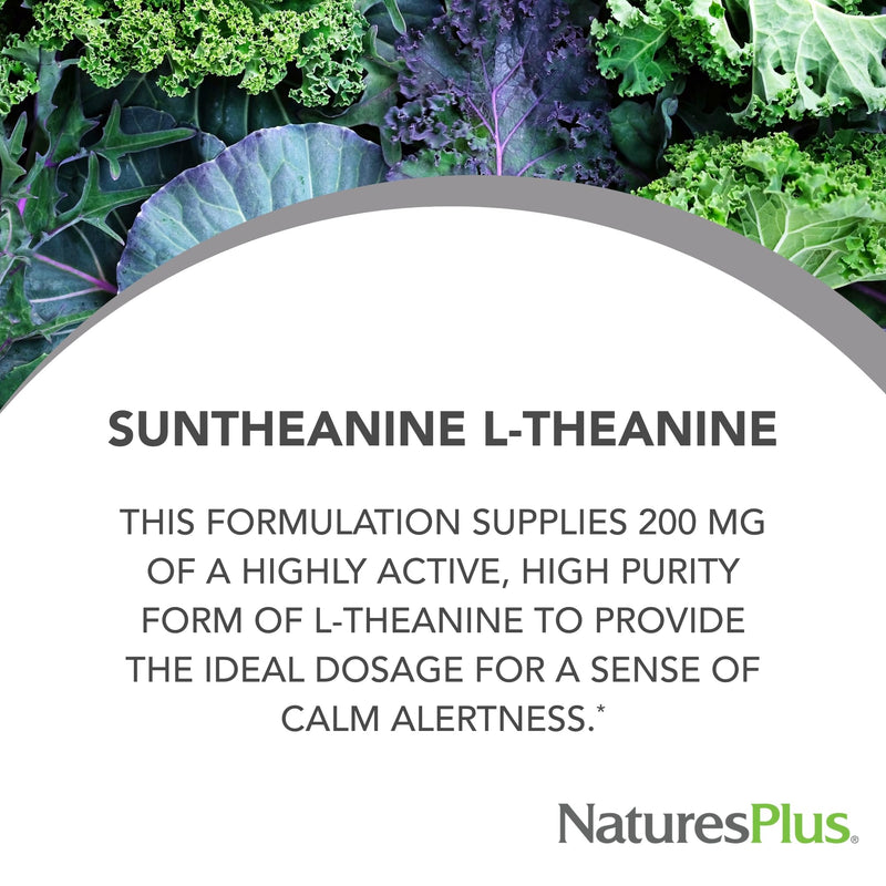 NaturesPlus PRO Suntheanine L-Theanine - 60 Capsules - Supports Calm Alertness, Healthy Relaxation & Improved Rest - Non-GMO, Vegan & Gluten Free - 60 Servings