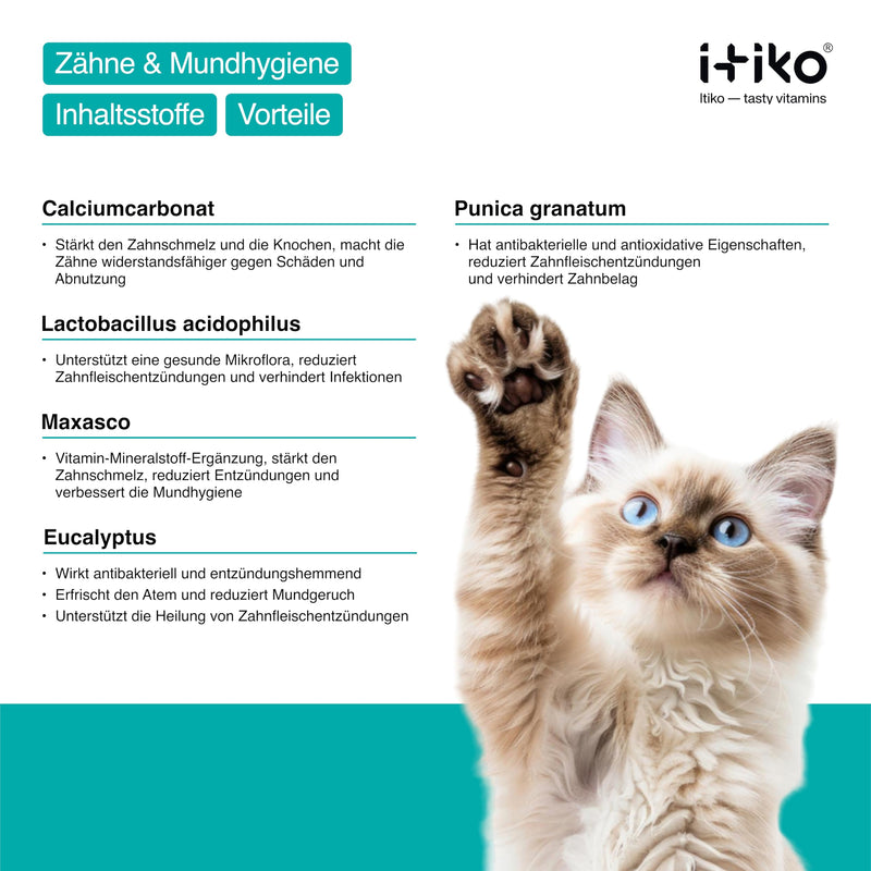Itiko - Cat Dental Care Snacks - Natural Treats for Cats - Fight Cat Bad Breath - Alternative to Tartar Spray - BeesActive Australia