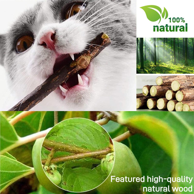 Catnip Sticks For Cats, Cat Dental Chew Sticks, Matatabi Cat Dental Care, Silvervine Cat Teeth Cleaning Dental Sticks, Cat Toys for Indoor Cats 30 pcs