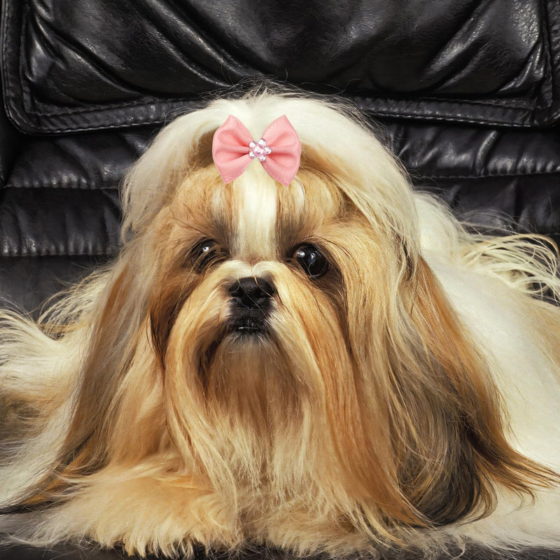 25PCS Pink Dog Bows Small Size Dog, Lovely Pet Hair Bows/Dog Hair Bows, Cute Mix Dog Bows for Small Dogs and Puppies, Pet Grooming Accessories/Puppy Bowknots with Rubber Bands for Daily Use - BeesActive Australia