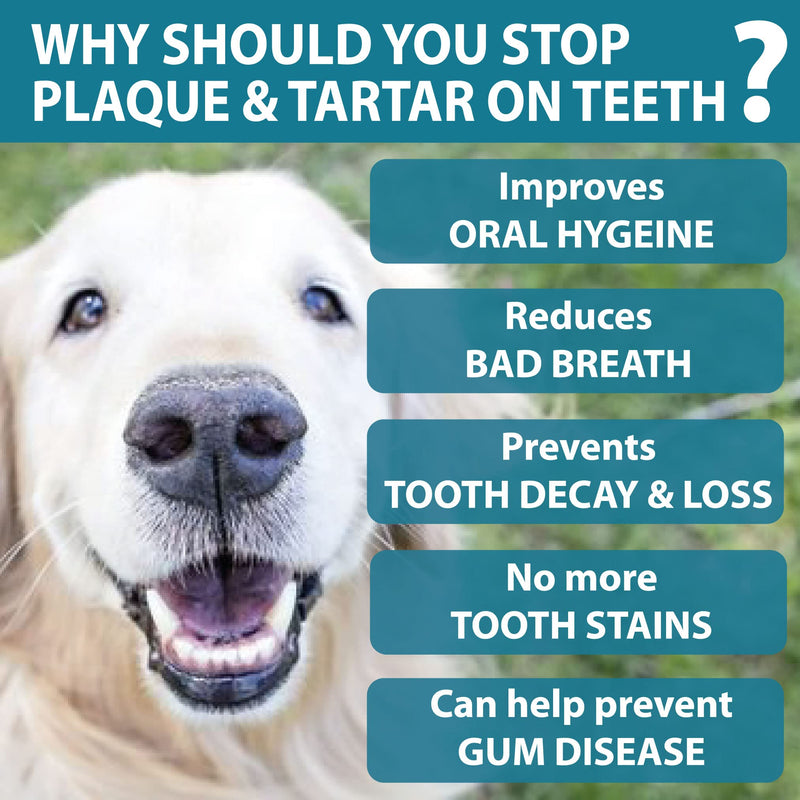 Plaque Vanish | 100% Natural Seaweed Dental Powder | Plaque Off Tartar Remover for Dogs & Cats | Banish Bad Breath | Made in UK (450g) 450g