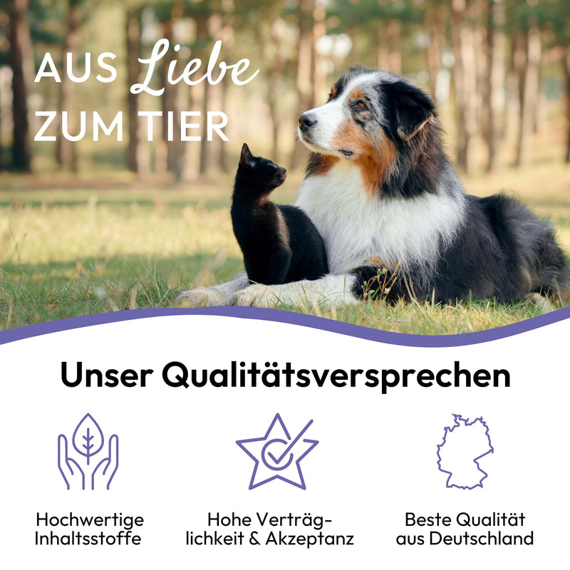 PHA calming paste for cats for stress, restlessness, fear, marking, new surroundings, natural support for the nerves, anti-stress agent, 100 ml - BeesActive Australia