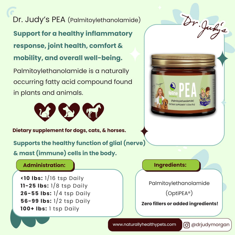 Feline Essentials | Dr. Judy’s Pea (Palmitoylethanolamide) for Cats – 9g