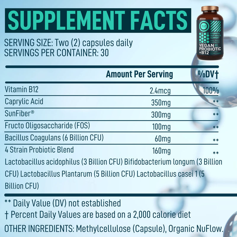 Vegan Probiotic Plus B12 & FOS - 22 Billion CFU Synbiotics Prebiotics and Probiotics for Digestive Health, IBS, Mood Support - B12 Pre Pro Post Biotics for Women & Men - 60 Gluten-Free Capsules Probiotic Unflavored