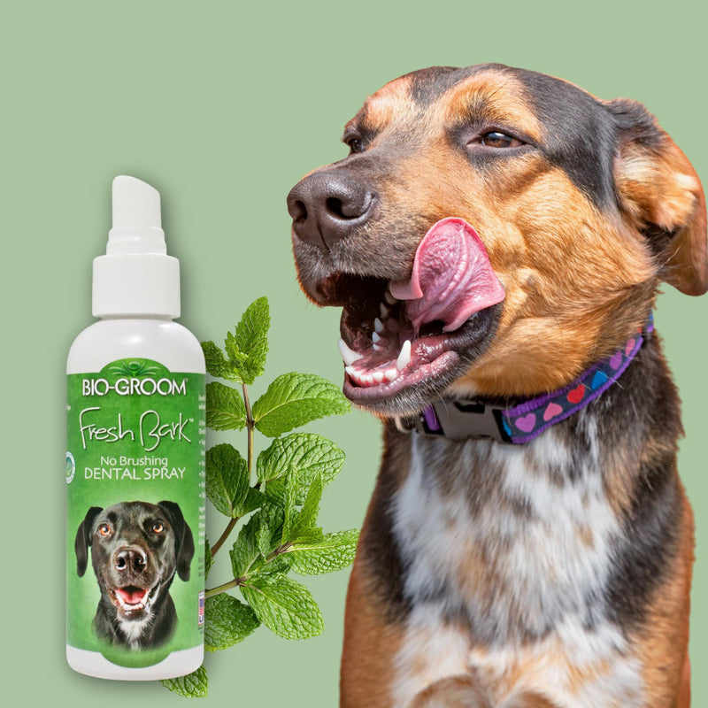 Bio-groom Fresh Bark Dog Breath Freshener - No Chew Dental Spray for Dogs & Cats, Teeth Cleaning Oral Care for Plaque & Tartar, No Brushing Required, Made in the USA - Mint, 4 fl oz 4 Fl Oz (Pack of 1)