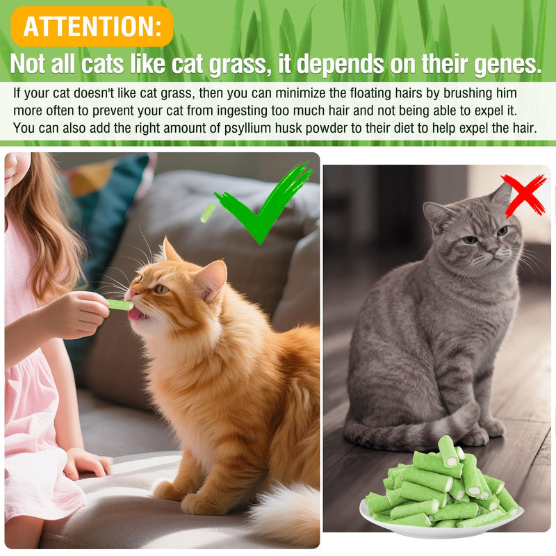 Cat Grass Teething Sticks, 3.52oz Edible Natural Dried Cat Grass Treats with Chicken, Cats Snack for Hairball Removal and Dental Care 3.52 oz