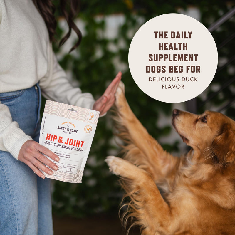 Rocco & Roxie Joint Supplement for Dogs, Glucosamine Hip and Joint Chews, Dog Joint Supplement Large & Small Breed, Senior Dog Vitamins to Support Mobility, Chondroitin, MSM, Health Supplies 60 ct 60 Count