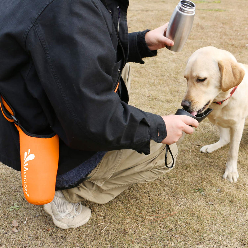 VIVAGLORY 25oz Stainless Steel Water Bottle & Neoprene Bottle Carrier Combo, Dog Drinking Bottles and Water Bottle Holder, Great for Hiking & Traveling with Pets Orange Carrier + Stainless Steel Bottle - BeesActive Australia