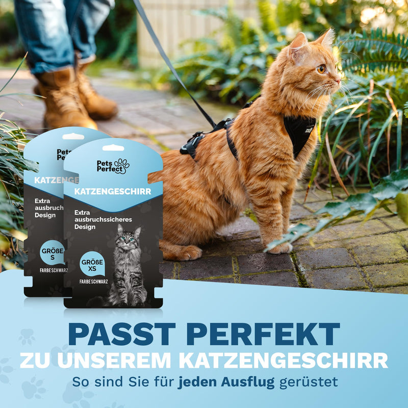 Pets Perfect towing leash 10m - Ultralight towing leash for small dogs and cats - Cat leash - Perfect running leash for dogs, cats and puppies 10 meters - BeesActive Australia
