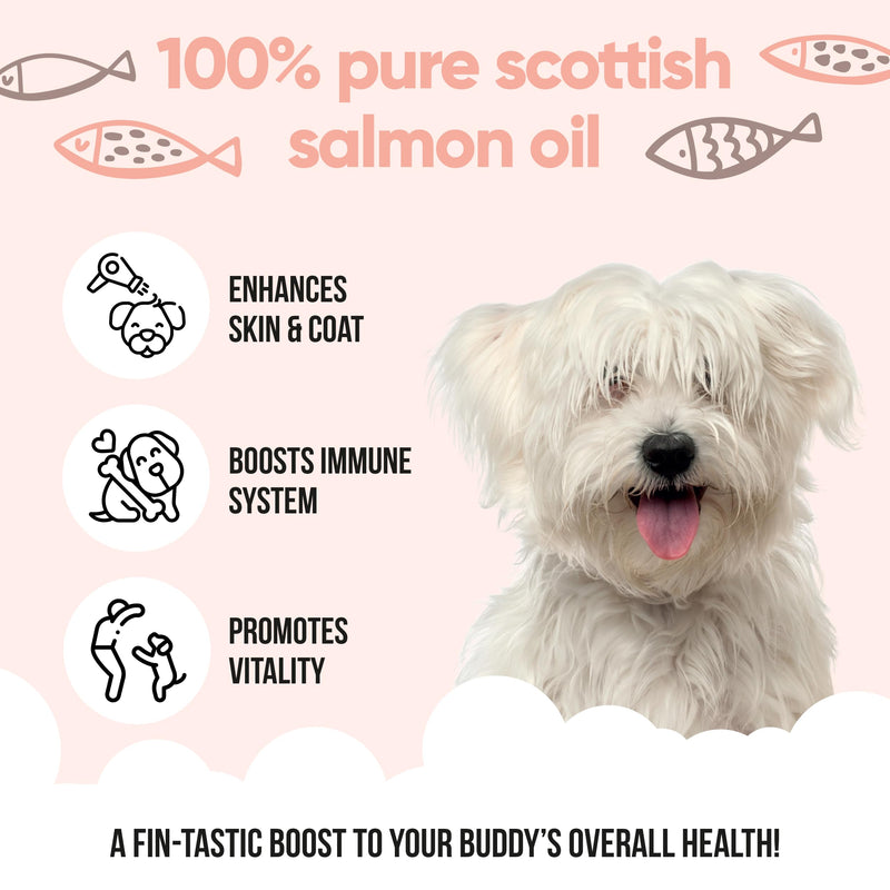 Buddycare Scottish Salmon Oil for Dogs and Cats (16.90 fl.oz) 100% Natural & Sustainable Supplement | Rich in Omega 3, 6 & 9 for Boosting the Health & Vitality of your Pet’s Skin, Coat & Immune System