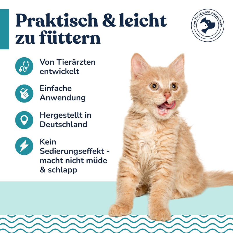 felmo calming paste for cats (100g) for stress, anxiety and inner restlessness, the feel-good paste promotes calm and relieves tension in your cat - lactose-free, without added sugar - BeesActive Australia