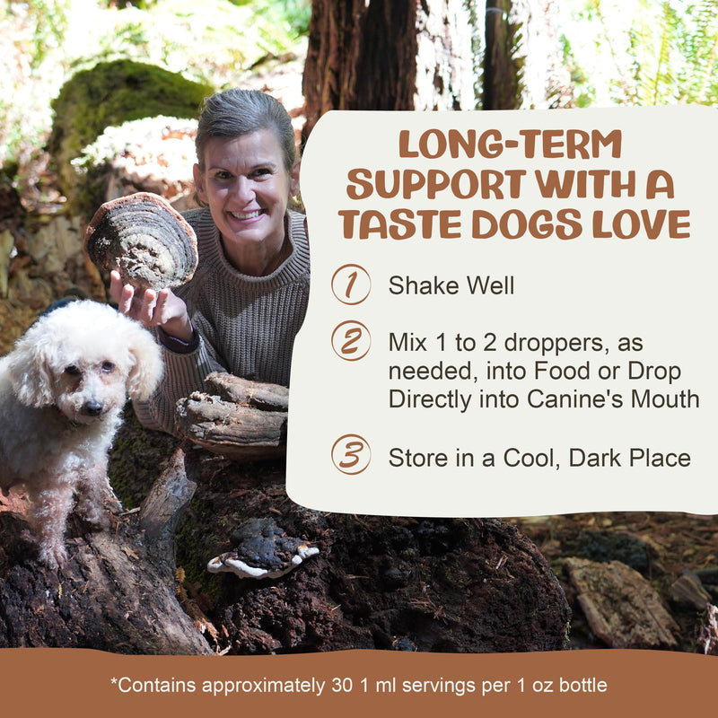 MycoDog Turkey Tail Mushroom for Dogs - Immune & Gut Health Support - Turkey Tail Supplement for Dogs - Daily Wellness Drops