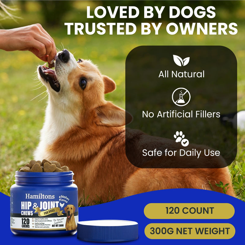 Hamiltons Hip & Joint Supplement for Dogs – 120 Soft Chews Treats with Glucosamine, Chondroitin, MSM & Green Lipped Mussel – Supports Mobility & Stiff Joints for Adult & Senior Dog– Beef Flavour