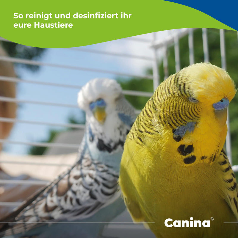 Canina 14010 7 Capha disinfectant spray, 500 ml 500 ml (pack of 1) - BeesActive Australia