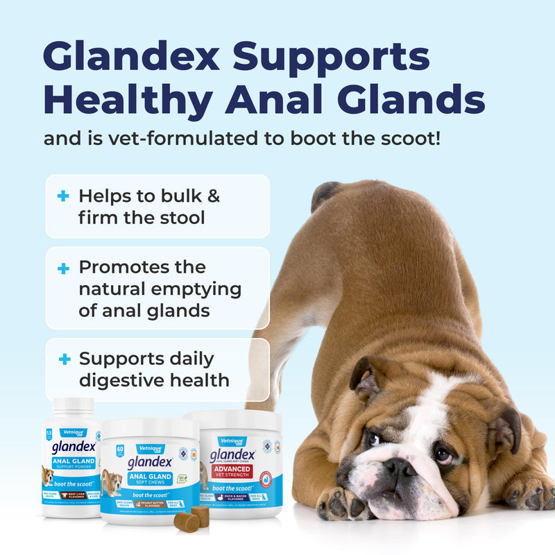 Vetnique Labs Glandex Advanced Strength Anal Sac Soft Chews with Fiber for Dogs, Digestive Enzymes, Probiotics - Veterinarian Recommended Vegetarian Duck & Bacon… (60ct Chew) 60ct Chew - BeesActive Australia