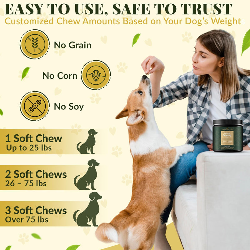 Barrow & Hound – Advanced Calming Chews for Dogs – 120 Soft Chews with Chamomile, Valerian Root, L-Theanine & Melatonin – Turkey Flavor – Supports Relaxation & Composure